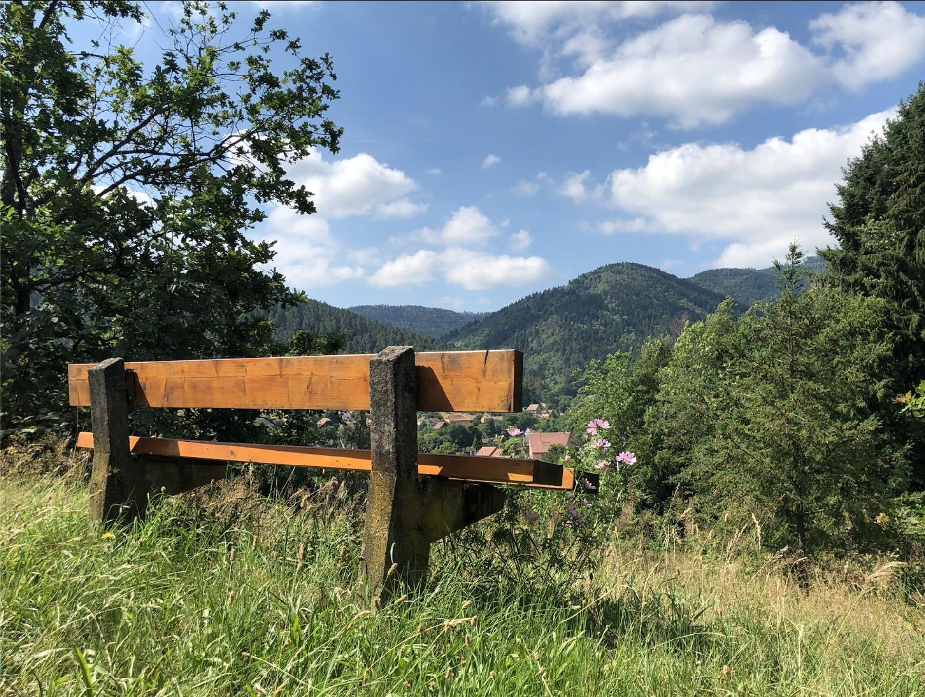 Lo'Gite L'Allee Du Val Lalaye Kültér fotó