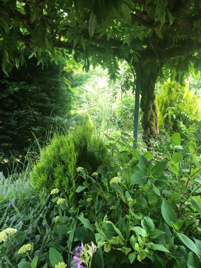 Lo'Gite L'Allee Du Val Lalaye Kültér fotó