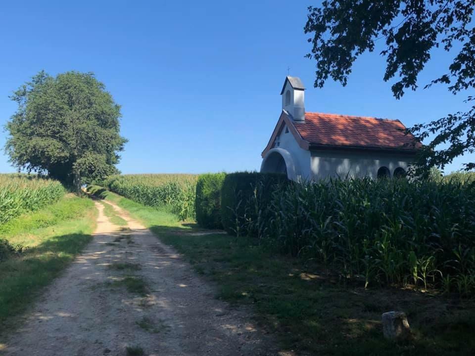 Lo'Gite L'Allee Du Val Lalaye Kültér fotó