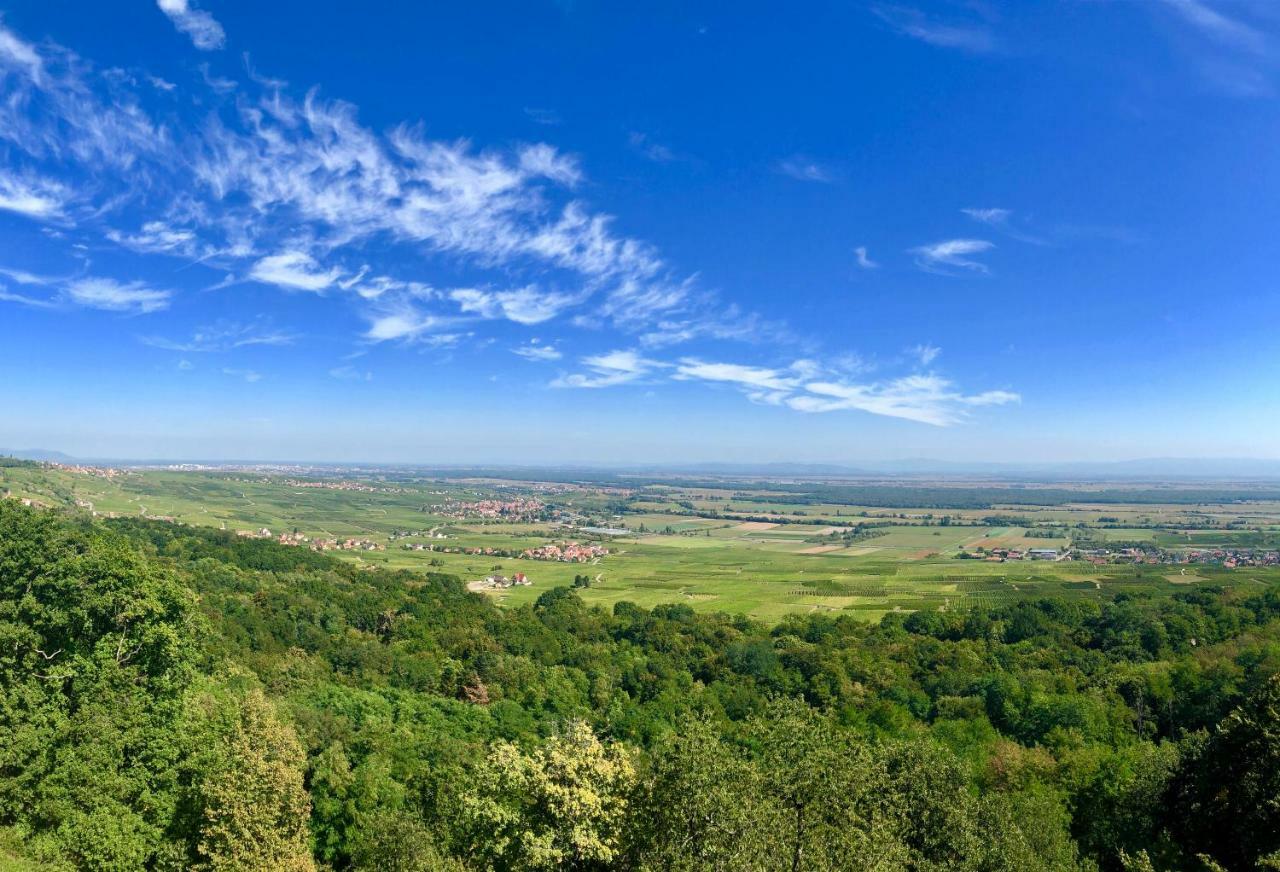Lo'Gite L'Allee Du Val Lalaye Kültér fotó