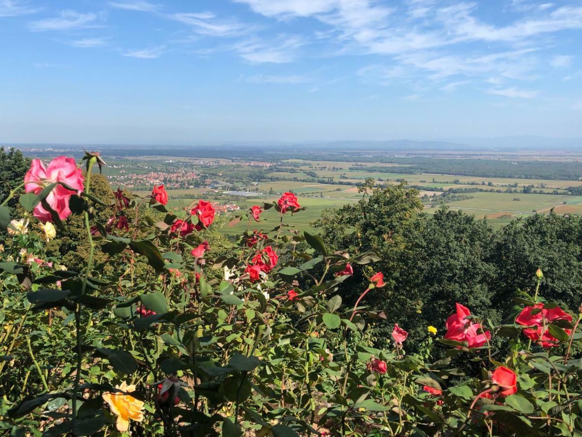Lo'Gite L'Allee Du Val Lalaye Kültér fotó
